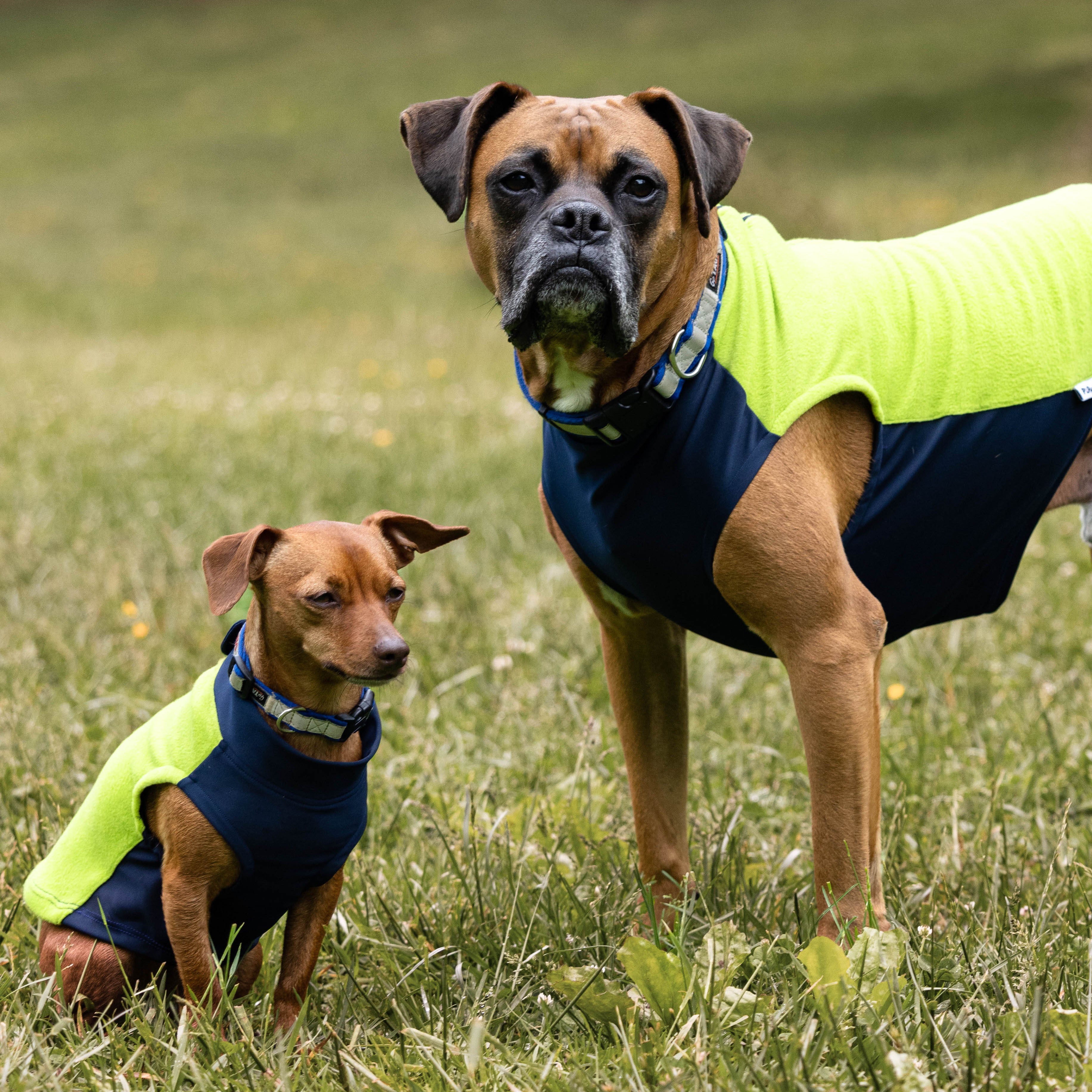 Lime & Navy Zip/Snap Fleece™ Vest - Puphazit