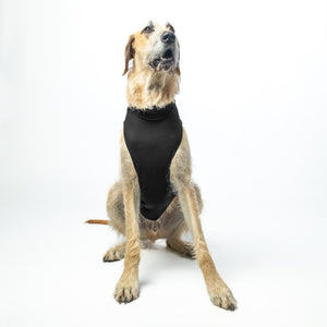 Licorice Dog Jacket | Black Fleece Dog Jacket | Puphazit
