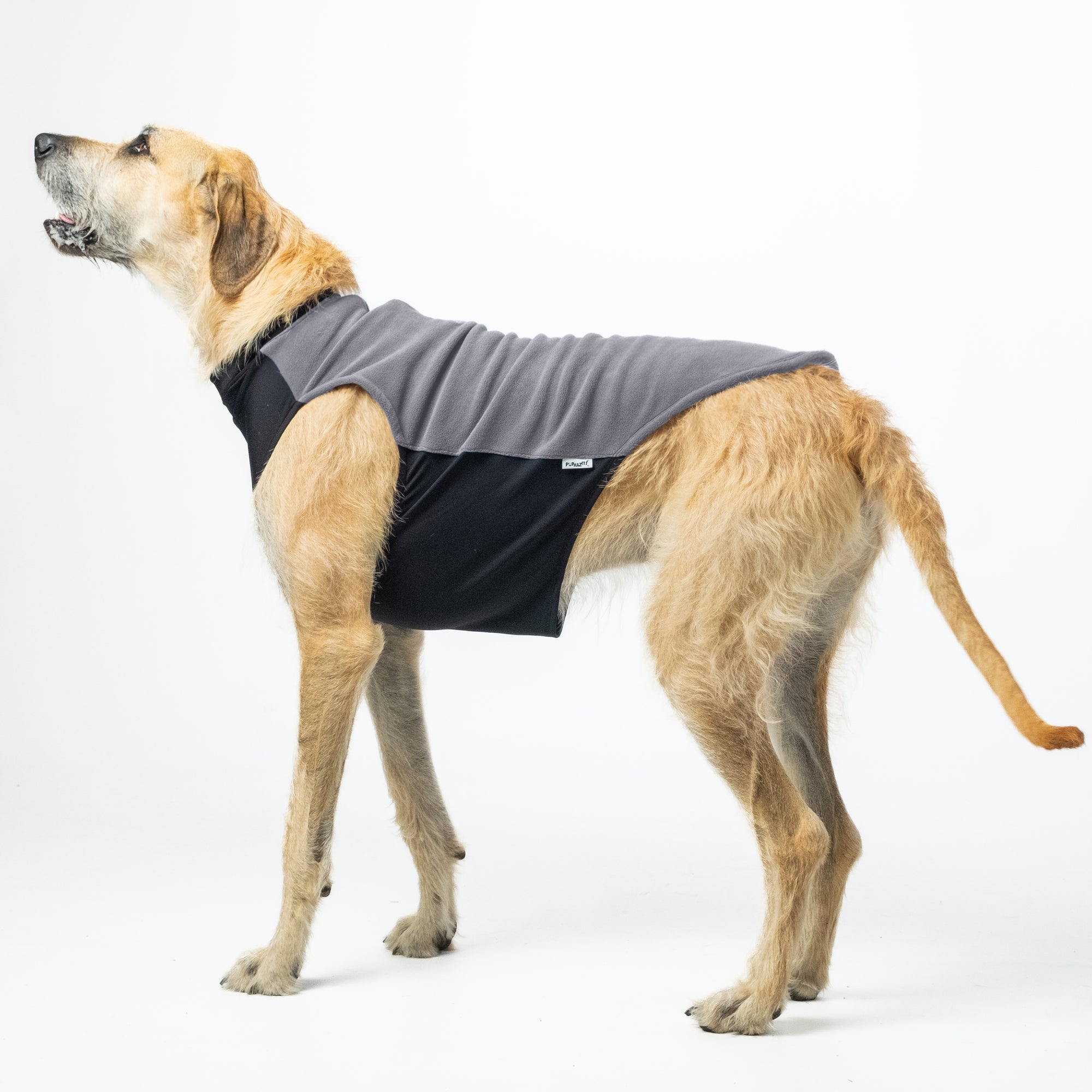 Stormy Grey Dog Pullover | Grey Dog Jacket | Puphazit