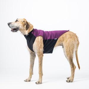 Plum Purple Dog Jacket | Warm Dog Jacket | Puphazit