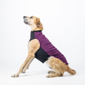 Plum Purple Dog Jacket | Warm Dog Jacket | Puphazit