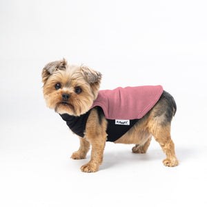 Mesa Rose Dog Pullover | Mesa Rose Dog Jacket | Puphazit