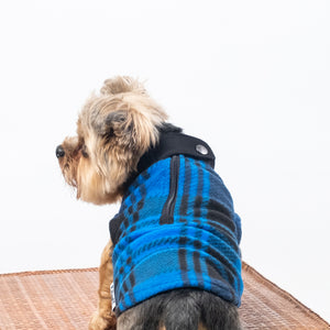 Blue Plaid Dog Vest | Plaid Dog Jacket | Puphazit