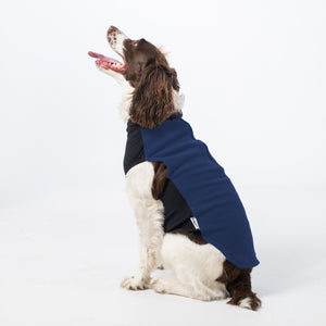 Spellbound Dog Pullover | Spellbound Dog Jacket | Puphazit