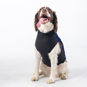 Spellbound Dog Pullover | Spellbound Dog Jacket | Puphazit