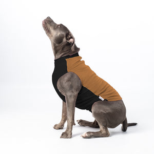 Doe Zen Pullover for Dog | Puphazit