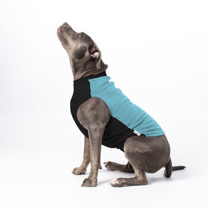 Aqua Zen Dog Jacket | Aqua Zen Dog Pullover | Puphazit